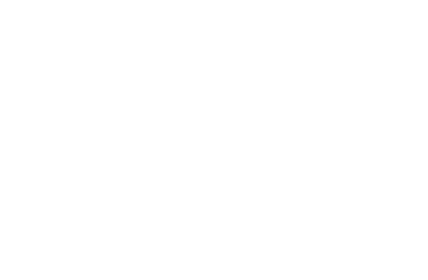 鳥将軍